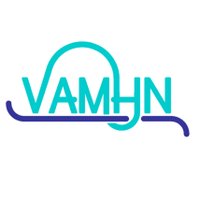 Violence Abuse and Mental Health Network(@VAMHN) 's Twitter Profile Photo