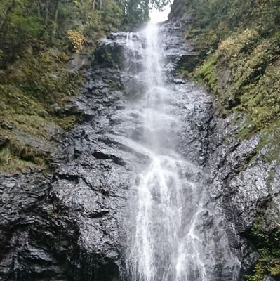 00hiroki24's profile picture. 