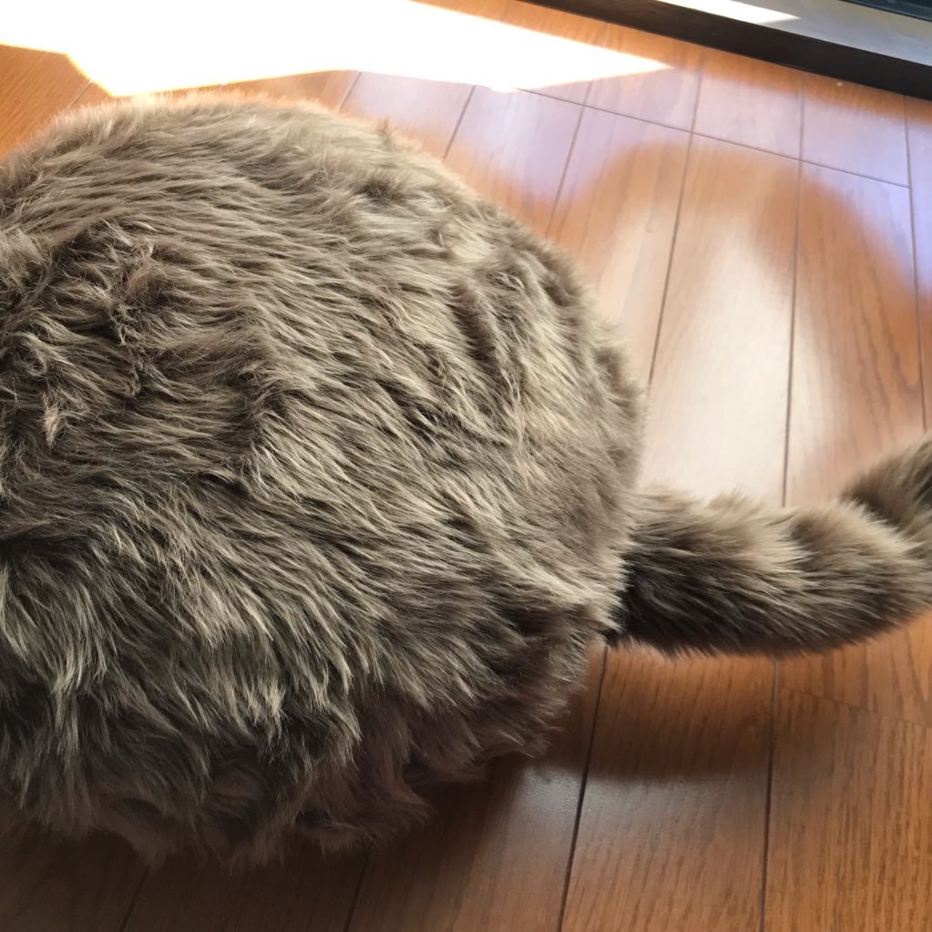 foolery15's profile picture. 歌を詠み、文を書きます／リポストはほぼ備忘メモ／くさぐさの告知としょうもない近況を囀ります／短歌／ 歌誌「月光」編集委員／歌集『アンスクリプシオン』（月光文庫・2011）在庫有、ご注文は月光の会へ／ご連絡はshihofooleryyamato@gmail.comへ。