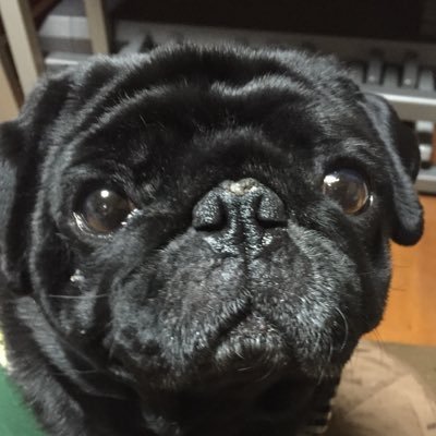 torotoroiitenki's profile picture. 雑多アカ。風ノ旅ビトは永遠の傑作。とっくの昔に成人済み・なんでも嗜むオタク。10数年を経て極3が発表されチリになっている。コミュ障のため無言フォローの時があります、ご容赦ください…