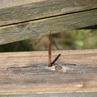 MuhammadArifSbb's profile picture. 