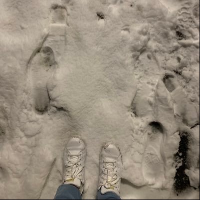 Heumaille's profile picture. 