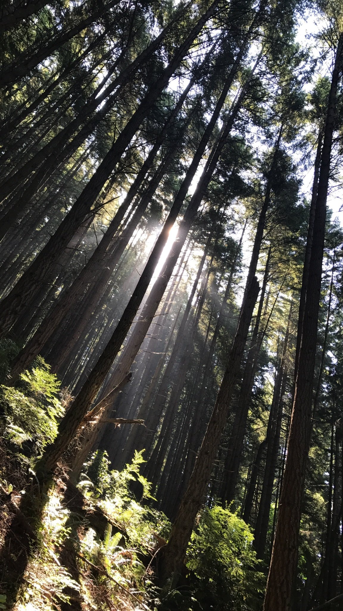 DougCam78469420's profile picture. 