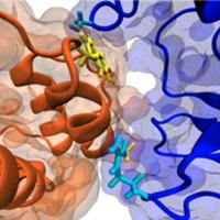 The Chong Lab (@chonglabpitt) 's Twitter Profile