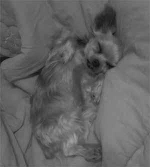 hamjuri's profile picture. 