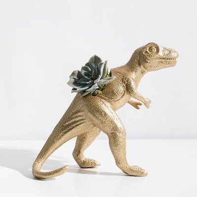 TarynJoelle's profile picture. Flower Child...flâneur...🦄