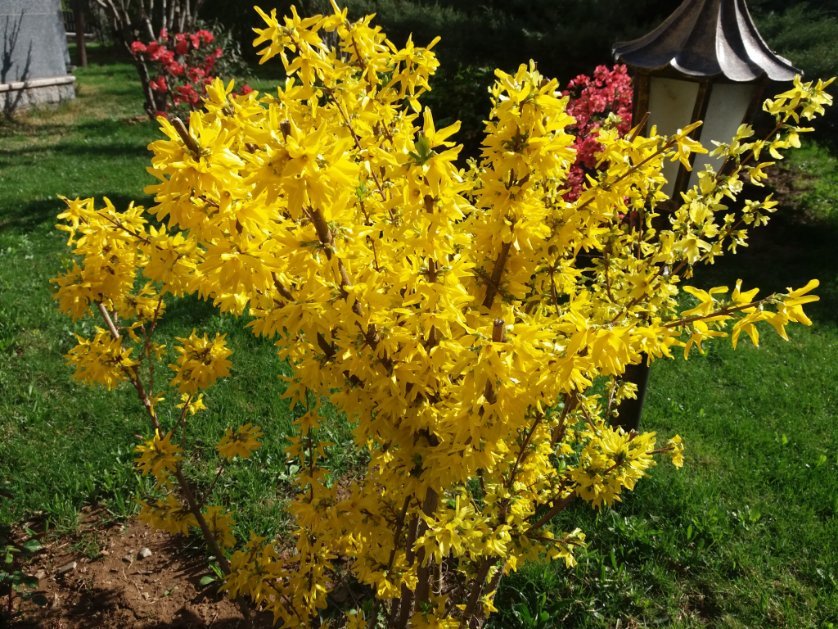 kambiz_me's profile picture. 