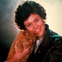 마담L (@madaml0515) 's Twitter Profile Photo