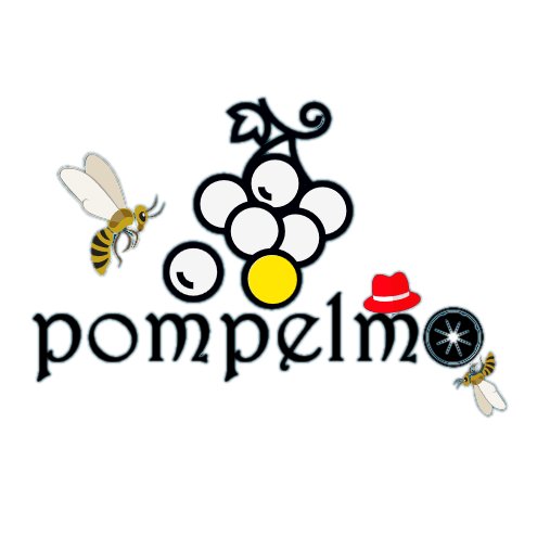 Pompelmoさんのプロフィール画像