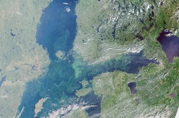 #Itämeri #ilmastokriisi #merikriisi #uhanalaisuuskriisi
#ruokakriisi
Blogi Suomen pilattujen rannikkovesien pelastamisen puolesta ja ilmastonmuutosta vastaan.