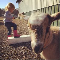 IPM_vids (@ipmvids) 's Twitter Profile