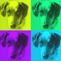 Difusiones Cleo (@desventurascleo) 's Twitter Profile Photo Difusiones Cleo (@desventurascleo) 's Twitter Profile Photo