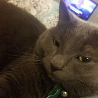 Aubry 🏳️🌈 (@aubrystagg) 's Twitter Profile