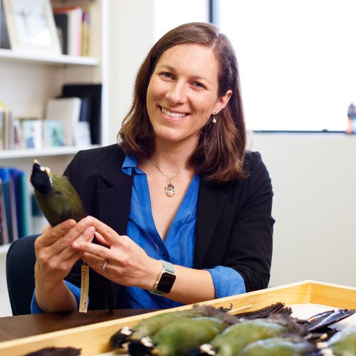 Associate Curator of Birds at NHMLA, broadly interested in bird genomics and coloration. My tweets are my own. On Tongva Land. Preferred pronouns: she/her/hers
