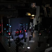 KlenermanLab (@klenermanlab) 's Twitter Profile
