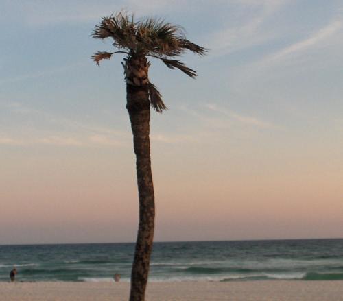 Freelance writer, love health and fitness, nature, and reading.