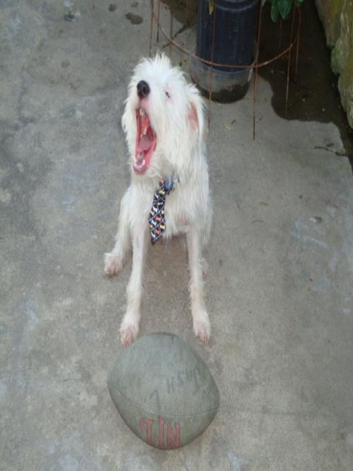 MorganKSU's profile picture. Regional Sales / Production at Meridian Media - #KState Class of 2010 - #EMAW