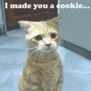 Alex Mulvey - @amulvey7738 - Twitter