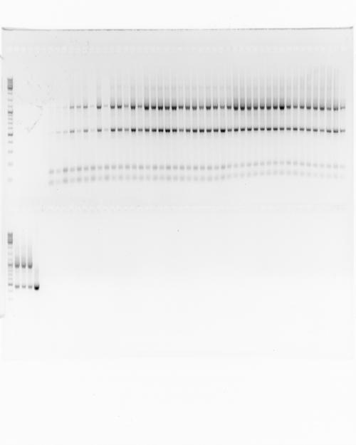 titifi81's profile picture. 누군가 나한테 그런말을 했다 너 전생에 나그네였냐고 또 몸이 간질간질하다. 여행을 떠날 때가 되었나 보다. ㅋㅋ풋풋한 서른이다... 서른이라 좋다