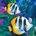 Fish Paradise (@FishParadiseApp) Twitter profile photo