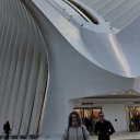 Georgina Murray - @Georgin60975421 - Twitter