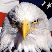 Michael (@michael52983436) 's Twitter Profile Photo Michael (@michael52983436) 's Twitter Profile Photo