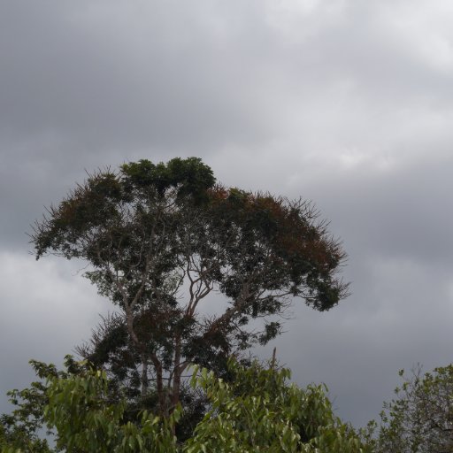 MatutoJose's profile picture. 