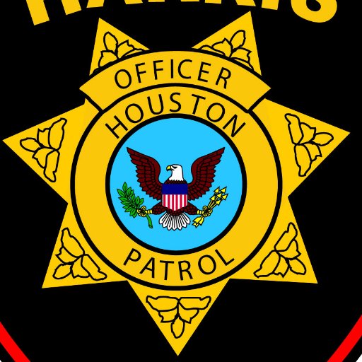 Houston Patrol is expert in the unique challenges presented by large public events.