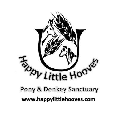 Happy Little Hooves Pony and Donkey Sanctuary provides a safe, loving home to mini horses, ponies, donkeys and mini mules. We love the Littles!