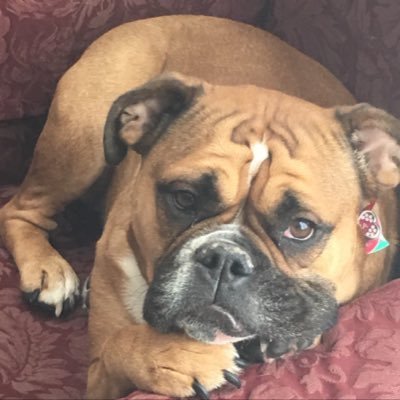 JennaNolle's profile picture. 