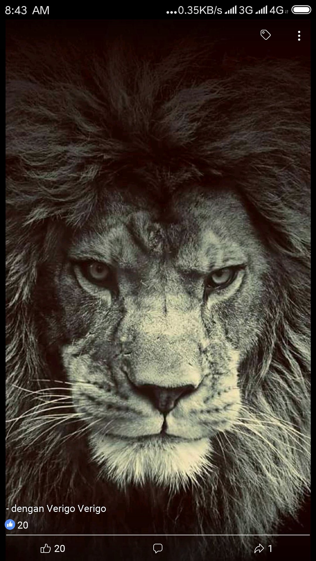 NapiRhoy's profile picture. Rgb