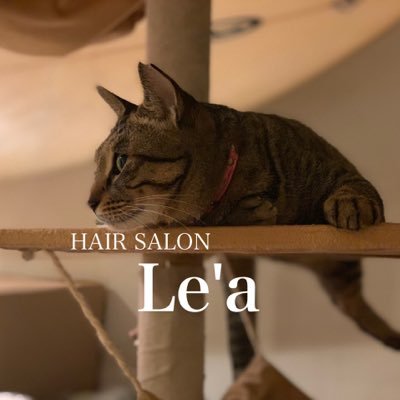 美容室 Lea Hairsalon Lea Twitter