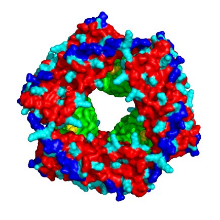 The Vierling lab at UMass Amherst studies proteins and processes involved in plant responses to the environment, in particular high temperature.