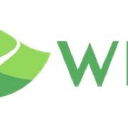 Windy 斉藤優里の歯って 歯列矯正 歯に関するエピソードなどまとめ T Co 6of3kceo4v 斉藤優里 乃木坂46 乃木坂46 Windy 斉藤優里の歯って 歯列矯正 歯に関するエピソードなどまとめ T Co 6of3kceo4v 斉藤優里 乃木坂46 乃木坂46