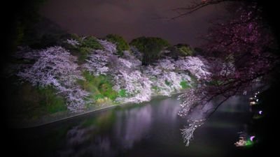 反日は好きになれません
日本が好きです
サラリーマンから投資家に転身したい