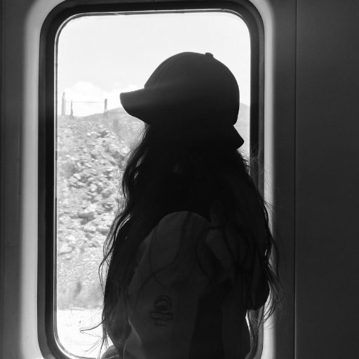 CanacePeng's profile picture. Independent,Outgoing,Cosun Logistics