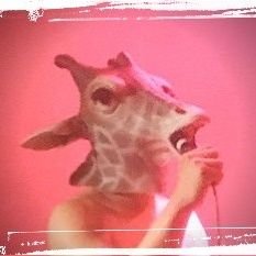 777_kirin's profile picture. ハイヱナジー/羅愚那露躯-Ragnarøk-/DJゴリラ関西/Kirin