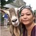danielle himalaya (@daniellehimala1) Twitter profile photo danielle himalaya (@daniellehimala1) Twitter profile photo