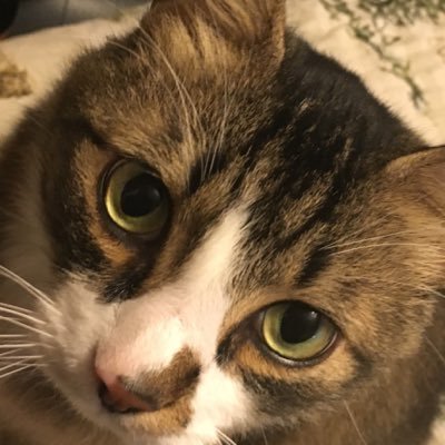 saver_101's profile picture. 