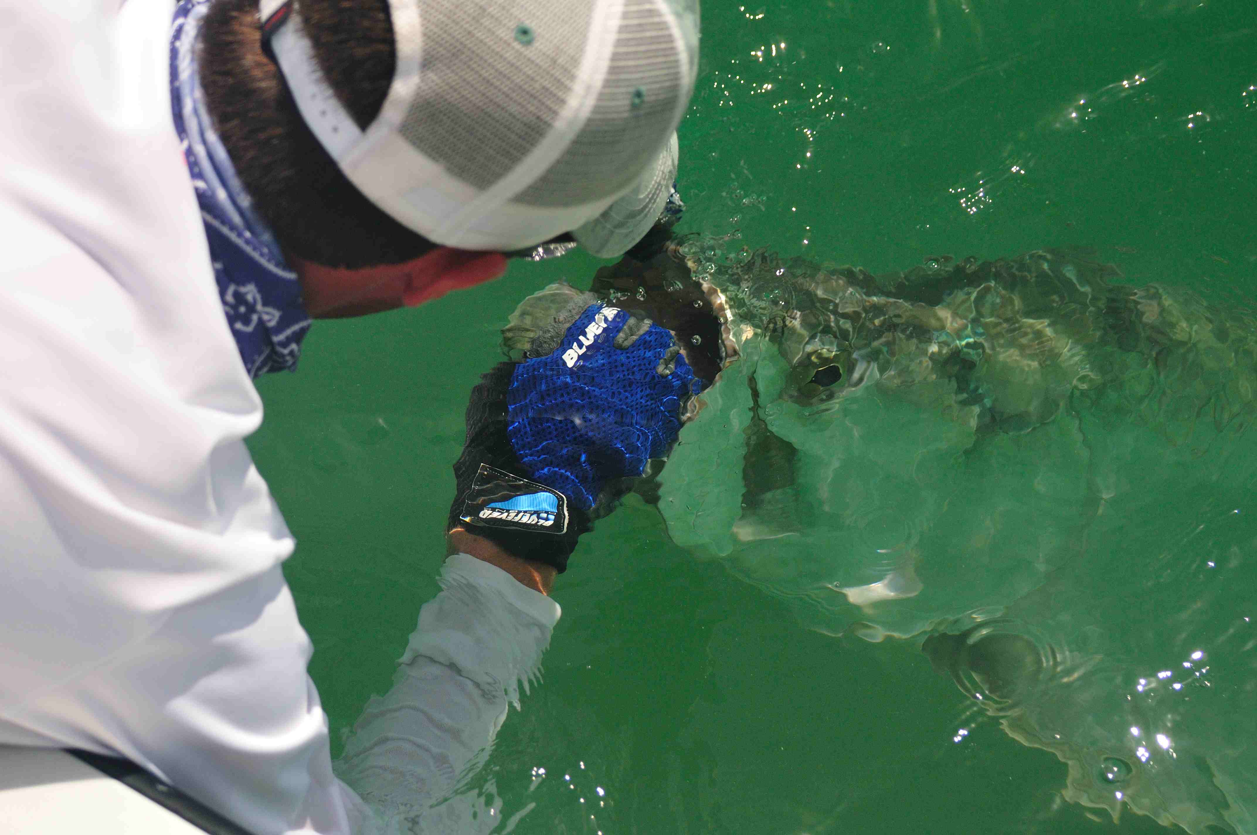 DrewDelashmit's profile picture. A full-time father, husband & fly fishing guide in the Florida Keys specializing in chasing tarpon, permit and bonefish.