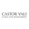 CastorVali's profile picture. Castor Vali is a global security and risk management group providing international Protective and Information Services