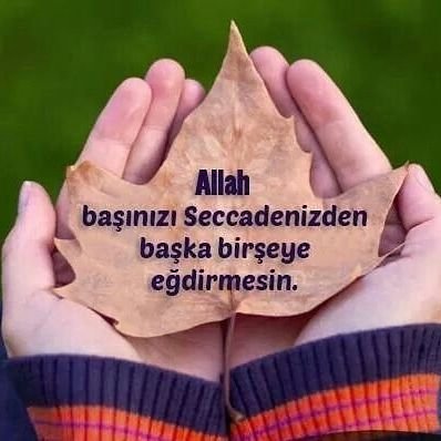 mustafa49515509's profile picture. 