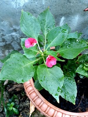 92kennethcole's profile picture. 