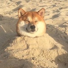 Kaitlyn_Playz's profile picture. Carly/Kaitlyn @softpastel.cos on Instagram