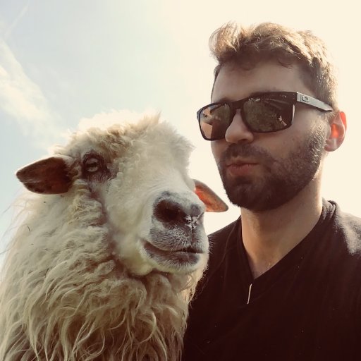 maciejczapnik's profile picture. intruz w świecie ptaków