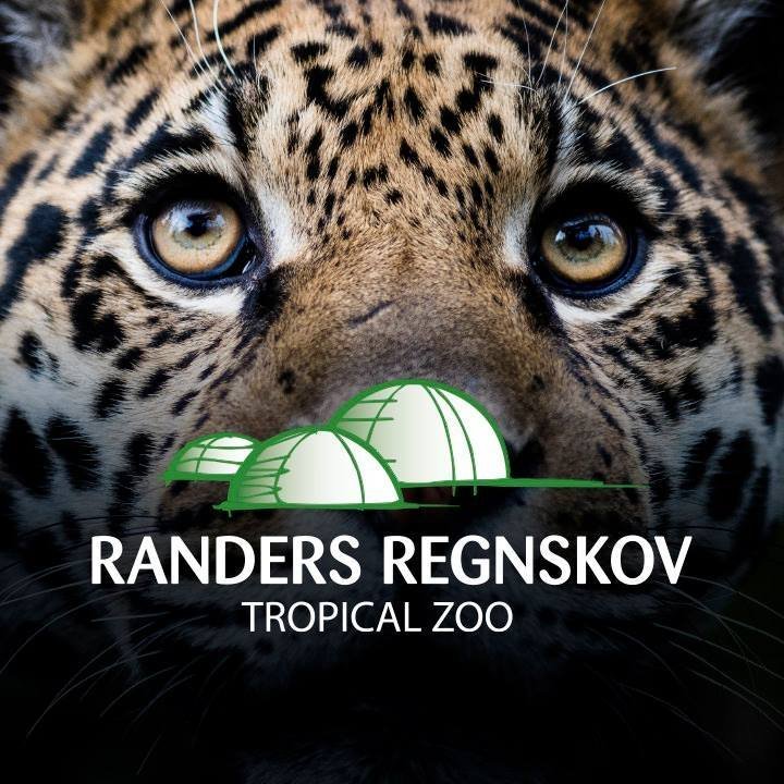 Dette er Randers Regnskovs officielle Twitter-profil. Randers Regnskov er Danmarks eneste tropiske zoologiske have med mere end 250 dyrearter.