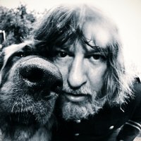 Ebbot Lundberg (@webbotebbot) 's Twitter Profile