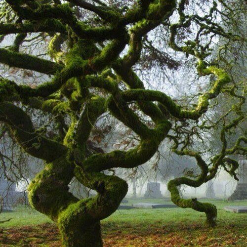 Metusalache's profile picture. #Bitcoin
"Successful investing is like getting pregnant. Everyone congratulates you when you make it but no one asks how many times you got fucked first."