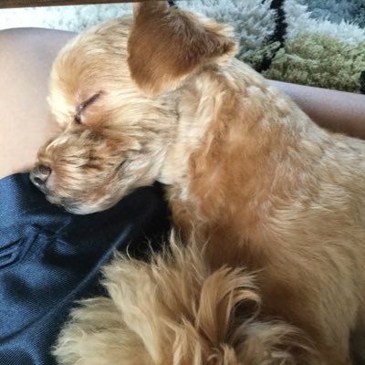 TlwvJzGj8rGZlDE's profile picture. 