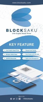 Smart Blockchain wallet for digital assets